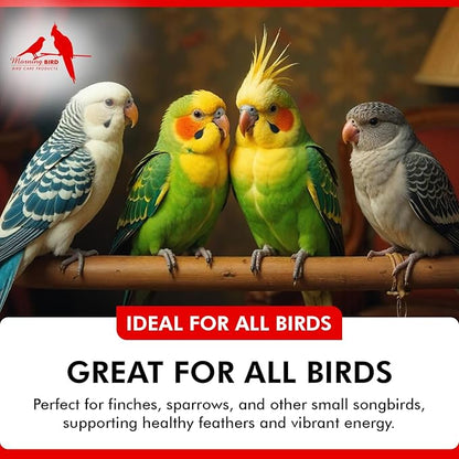 Morning Bird Calcium Plus Powder for Birds 16 oz – Calcium Carbonate Powder with Magnesium Glycinate & Vitamin D – Bone Strength & Immune Support Supplement – Calcium Formula for All Bird Sizes