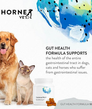 ThorneVET Gut Health Formula – Gastrointestinal Support for Dogs, Cats & Horses, 180 Soft Chews