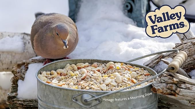 Valley Hearty Delight Wild Bird Food for Outside Feeders, No-Mess Wild Bird Seed with Sunflower Hearts & Peanut Kernels, Filler Free Bird Seed Perfect for Outdoor Patios, (4 LBS)