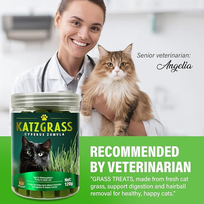 Natural Cat Grass Treats for Indoor Cats | Salmon & Catnip Dental Snacks | Hairball Control & Teeth Cleaning | Freeze-Dried Training Rewards
