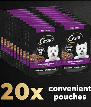 Cesar Filets in Gravy Wet Dog Food Filet Mignon Flavor, 1.76 oz. Mini-Pouch (20 Count, Pack of 1)