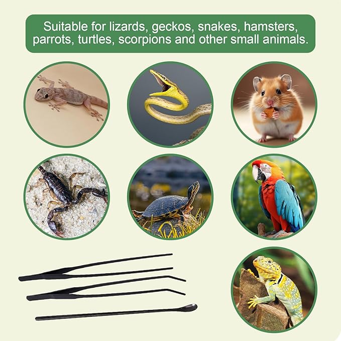 Reptile Feeding Tongs Kit, 2Pcs Extra Long Stainless Steel Reptile Feeding Tongs, 1Pcs Feeding Spoon, Small Animal Feeder Tool for Lizards, Crested Geckos, Bearded Dragons