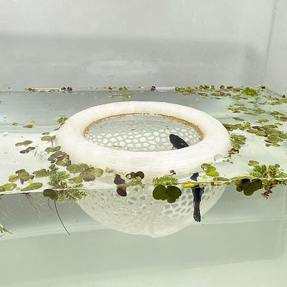 Aquarium Floating Betta Fish Skins, Betta or Shrimp Feeder, Cave and Hammock, Small Fish Feeding Rings, Aquarium Hiding Feeding Decorative Accessories (Translucent Color)