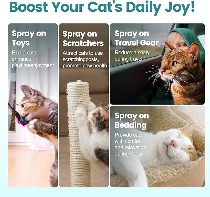 Catnip Spray with Silvervine, 100% Natural Dual-Plant Formula for Cats & Kittens,Renew Toys & Train Kittens Indoor & Outdoor - 2 oz