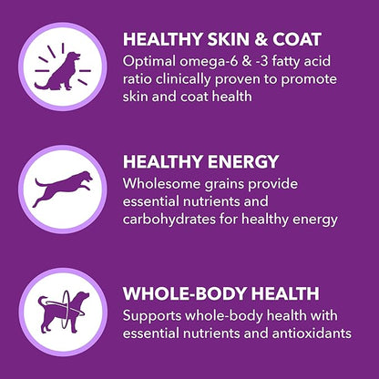 IAMS Advanced Health Skin & Coat Adult Dry Dog Food Chicken and Salmon Recipe, 13.5 lb. Bag