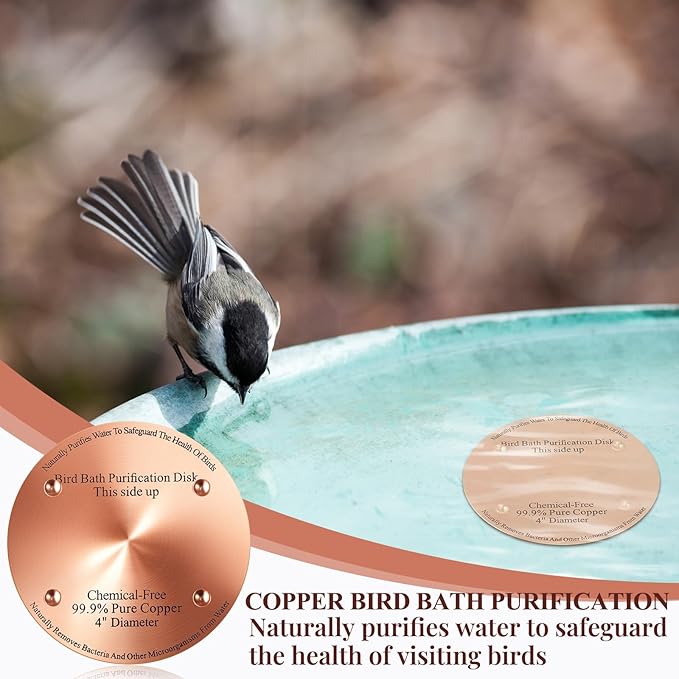 1 Pcs Bird Bath Copper Disk, 0.6mm Thick Reinforced 99.99% Pure Copper Birdbath Purification Disk, with 4 Point Support for Outdoor Birdbaths Bowls Cleaner, 4 Inch (Classic)