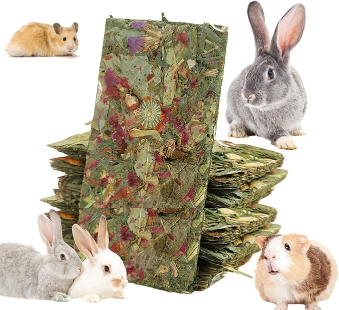 Bunny Toys 10 Pieces Chew Toys Teether Totoro Dutch Pig Guinea Pig with Flower Timothy Grass Snack (Medium)