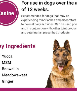 Vet Classics Pain Plus Extra Strength Health Supplement for Dogs - 120 Chewable Tablets