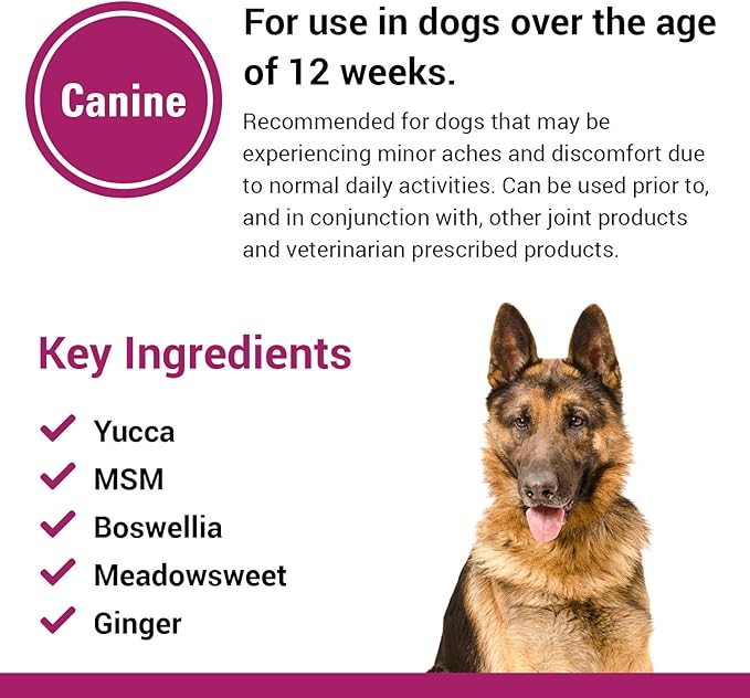 Vet Classics Pain Plus Extra Strength Health Supplement for Dogs - 120 Chewable Tablets