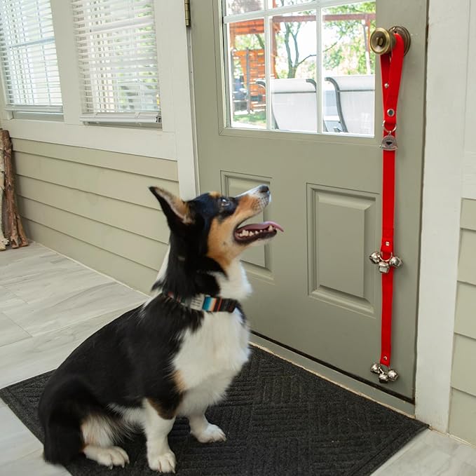 Caldwell's Pet Supply Co. Dog Potty Bells, Dog Door Bell, Bells to Go Outside, Potty Training Bell, Dogs Doorbell, Dogs Potty Doorbell, Ring to Go Pee, All Breed Puppy Training Tool