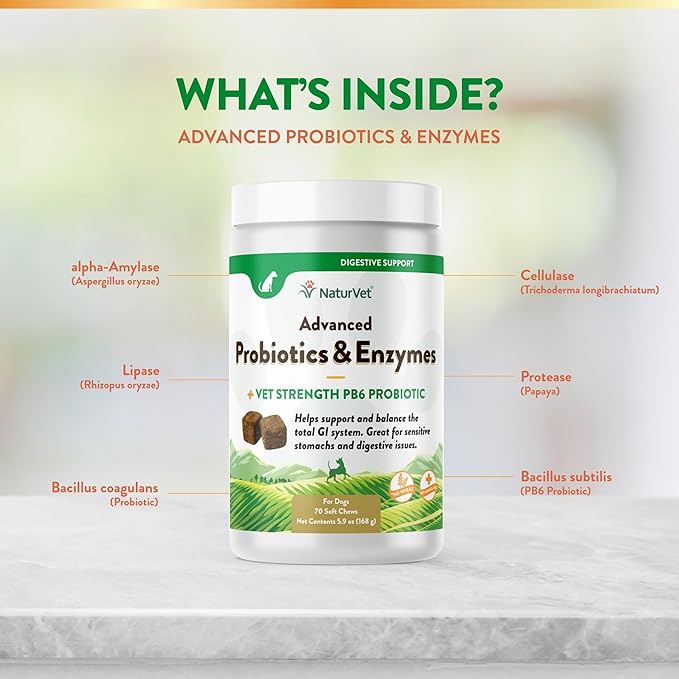 NaturVet Advanced Probiotics & Enzymes, PB6 Dog Soft Chews to Help Sensitive Stomachs and Digestive Issues, Hickory Smoked Bacon Flavored Pet Supplement for Dogs Over 6 Weeks, 70 Count Jar