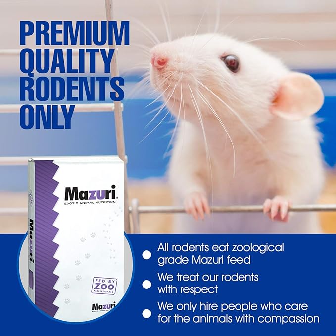 MiceDirect Frozen Mice Combo Pack of Small Pinkies & Pinkies Feeder Mice - Food for Corn Snakes, Ball Pythons, Lizards – 40 Ounce (Pack of 100)