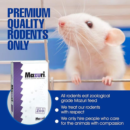 MiceDirect Frozen Mice Combo Pack of Small Pinkies & Pinkies Feeder Mice - Food for Corn Snakes, Ball Pythons, Lizards – 40 Ounce (Pack of 100)