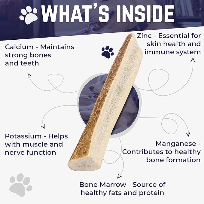 Devil Dog Pet Co. Split Elk Antlers for Dogs, Large 6"+, 1 Pack, Grade A Long Lasting Chew for Aggressive Chewers, Premium USA Naturally Shed Antler – Healthy, No Odor, Durable Dog Chew