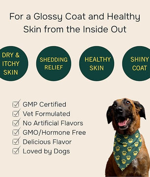 PetMeds Skin & Coat Supplement for Dogs - Fish Oil, Omega 3, Vitamin E, & Biotin for Dry, Itchy Skin & Shedding Relief - Healthy Skin & Shiny Coat - Beef & Sweet Potato Flavor - 60 Soft Chews