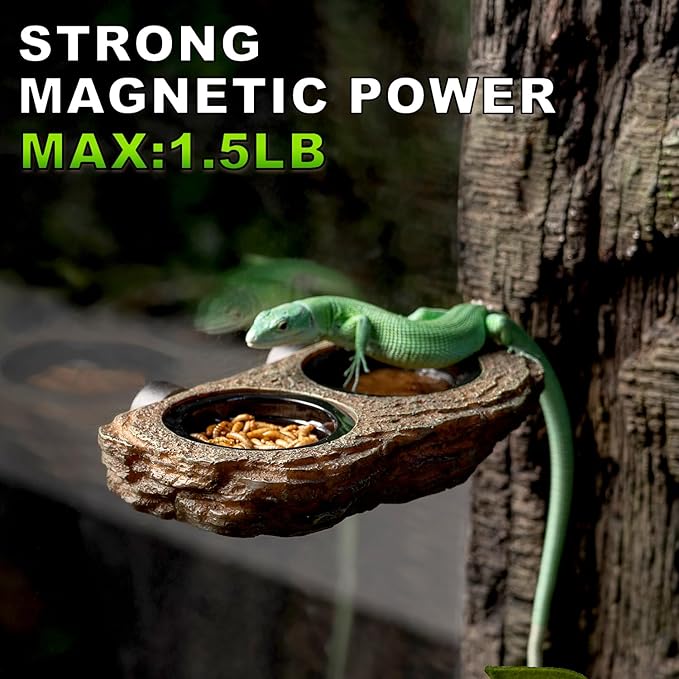 OIIBO Magnetic Reptile Feeder Ledge, Crested Gecko Feeding Ledge with 6PCS Food Cups Reptile Food Dish Water Bowl Tank Accessories for Bearded Dragon Chameleon Lizard Snake