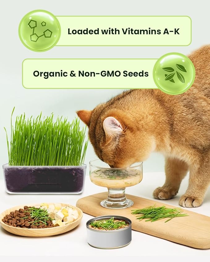 Cat Grass Kit for Indoor Cats - 3 Pack | Organic Wheat Grass Seeds, Grows in 7 Days | Digestive Health & Reduces Hairball | Gift for Cat Lovers with BPA-Free Planters, Soil & Non-GMO Seeds