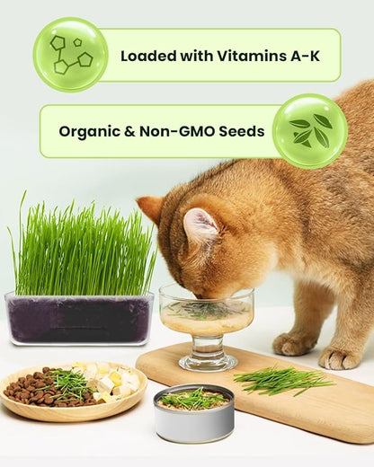 Cat Grass Kit for Indoor Cats - 3 Pack | Organic Wheat Grass Seeds, Grows in 7 Days | Digestive Health & Reduces Hairball | Gift for Cat Lovers with BPA-Free Planters, Soil & Non-GMO Seeds