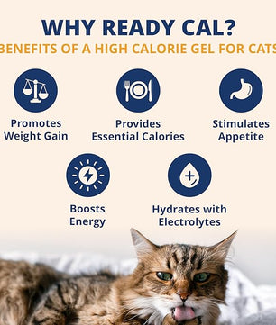 Under the Weather Pet Electrolytes Ready Cal Plus Gel for Cats | Vet-Formulated High-Calorie Supplement for Cats & Kittens | Promotes Weight Gain & Boosts Energy for Sick Felines | 3.5 Oz Tube Pack