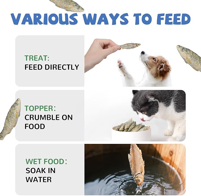 Freeze Dried Minnows Dogs Treats – 100% Raw Single-Ingredient Pet Fish Snacks – Rich in Omega-3, Grain-Free – Healthy Training Rewards & Meal Toppers, 2.8 oz