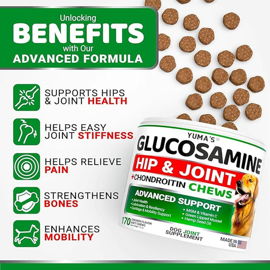 YUMA'S (2 Pack) Glucosamine for Dogs - Hip and Joint Supplement for Dogs - Glucosamine Chondroitin Chews - Joint Pain Relief Supplement with MSM - Advanced Health - Mobility Support - Made in USA