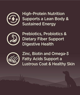 Wellness CORE Dry Dog Food, Grain-Free, High Protein, Natural, Ocean Whitefish, Herring, & Salmon Recipe, (12-Pound Bag)