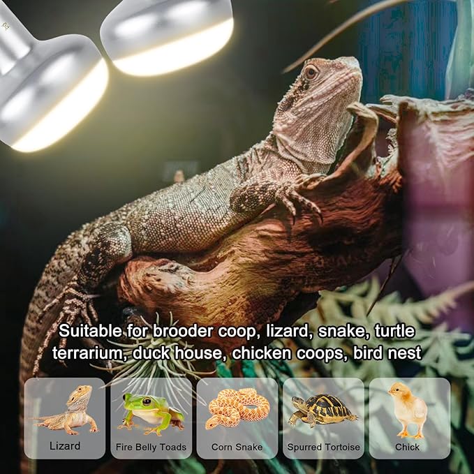 Reptile Heat Lamp 75W, 2 Pack Intense UVA Basking Light Bulbs, Flat-Base Heat Emitter, Heat Lamp Bulb for Reptile Chickens Pet Brooder