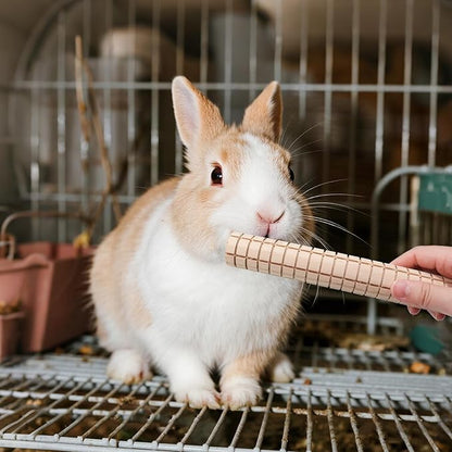 Guinea Pig Toys, 2 Pack Wooden Chew Toys for Small Animals, Rabbit Toys for Bunnies Boredom, Cage Accessories for Bunny, Guinea Pig, Hamster, Chinchilla, Rat and Other Small Animals