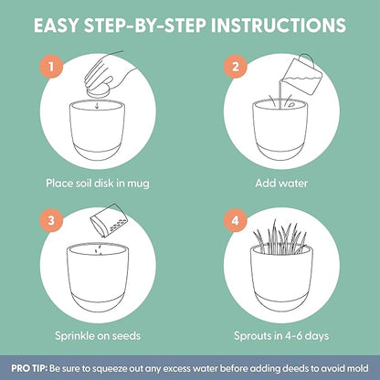 The Cat Ladies Cat Grass for Indoor Cats Kit with Organic Cat Grass Seed Mix, Soil and Ceramic & Cork Planter, Natural Hairball Remedy