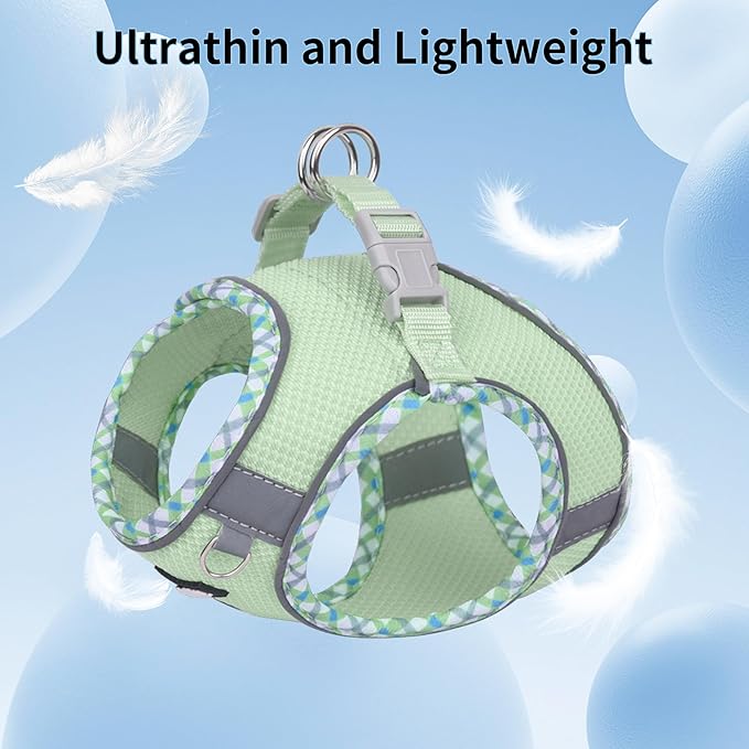 AIITLE Teacup Puppy Harness with Leash - Adjustable Soft Vest with Magic Tape & Reflective Safety Strips, Easy-Put-On for Poodles, Pomeranians - Gym, Hiking, Travel (Sage, S)