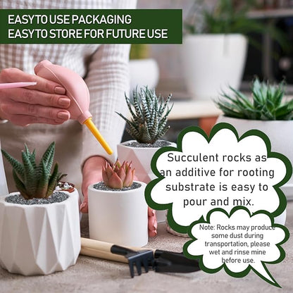 2 LBS Black Pea Gravel, Natural Succulent and Cactus Gravel Pebbles, Pebbles for Indoor Plants, Natural Gardens Mulching, for Houseplants, for Aquarium Gravel, to Maintain Soil Aeration(4-6mm)