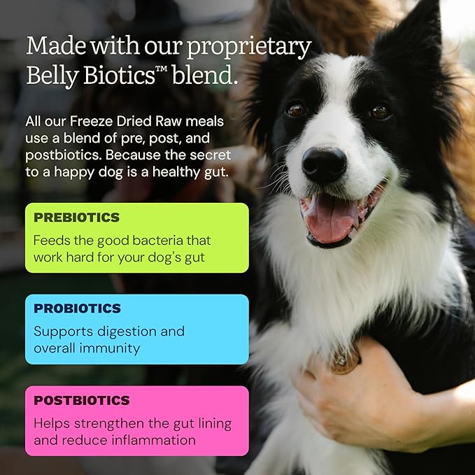 Get Joy Freeze Dried Raw Beef Dog Food, High Protein Grain Free Meal, Topper & Treat, Gut Health Support with Probiotics, Small to Large Breed, 16oz Bag