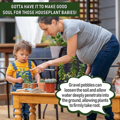 2 LBS Yellow Pea Gravel, Natural Succulent and Cactus Gravel Pebbles, Pebbles for Indoor Plants, Natural Gardens Mulching, for Houseplants, for Aquarium Gravel, to Maintain Soil Aeration(4-6mm)