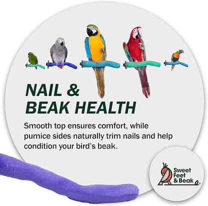Sweet Feet & Beak Safety Pumice Bird Perch, X-Small 1/2" X 6", Blue - Lightweight Grinding Bird Perches for Cage - Bird Nail Trimming Perch for Healthy Beak & Feet - Multi-Size & Color Parrot Stand