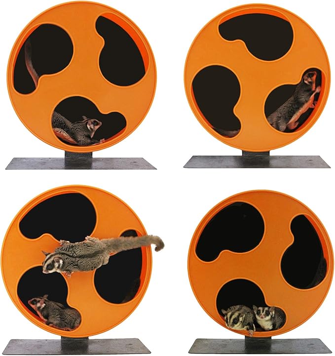 Silent Runner 12" Regular Wheel + Sandy Track + Cage Attachment - Pet Exercise Wheel Package Set - for Sugar Gliders, Female Rats, Hamsters, Mice and Other Small Pets