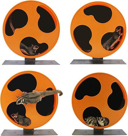 Silent Runner 12" Regular Wheel + Sandy Track + Cage Attachment - Pet Exercise Wheel Package Set - for Sugar Gliders, Female Rats, Hamsters, Mice and Other Small Pets