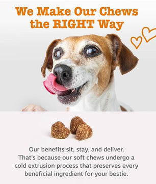 Zesty Paws Dog Multivitamin, Chewable Dog Vitamins and Supplements for Hip & Joints, Skin & Coat, Omega 3 Fish Oil for Dogs- Puppy Multivitamin - Chicken Puppy Bites- 90ct