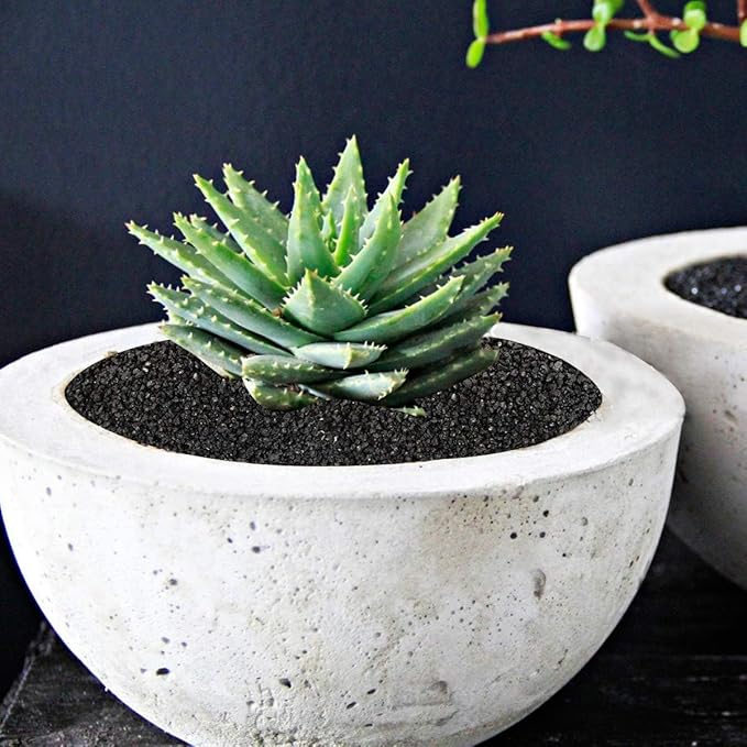 TOYPOPOR 6lb Succulents and Cactus Black Sand, Décor & Additive Tiny Stones, DIY Rocks Gravel, Decorative Pebbles for Bonsai, Fairy Gardening, Terrarium, Vases Fillers, Top Dressing