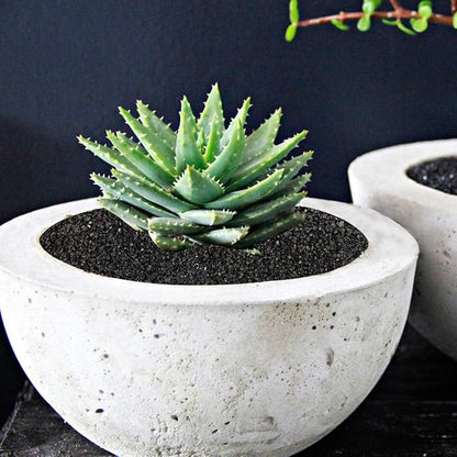 TOYPOPOR 6lb Succulents and Cactus Black Sand, Décor & Additive Tiny Stones, DIY Rocks Gravel, Decorative Pebbles for Bonsai, Fairy Gardening, Terrarium, Vases Fillers, Top Dressing