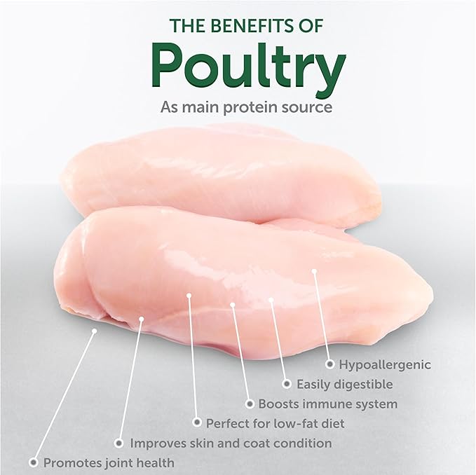 Nature's Protection Low Calorie Cat Treats - Crunchy Cat Snacks Treats for Indoor Cats - with Vitamins & Prebiotics for Urinary Health, Weight & Hairball Control (Superior Care - Poultry, 2.64 oz)