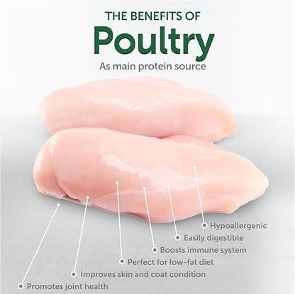 Nature's Protection Cat Dental Treats - Crunchy Oral Care Chews for Cat Teeth Cleaning for Adult Cats - No Bad Breath, Less Hairball (Superior Care - Poultry, 2.64 oz)