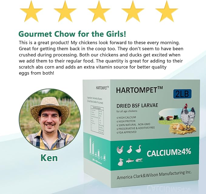 HARTOMPET Better Than Dried Mealworms for Chickens 2 lbs - 85X More Calcium Than Meal Worms - Non-GMO Chicken Feed Additive & Molting Supplement - BSFL Treats for Hens, Ducks, Wild Birds