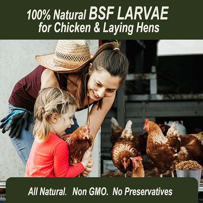 Adaman Dried Black Soldier Fly Larvae 5 LBS-100% Natural BSF Larvae-More Calcium Than Dried Mealworms High-Protein Chickens Treats, Food for Birds, Ducks, Layer Hens