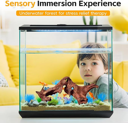 EFFIELER Natural Driftwood for Aquarium Decor – Real Wood Branches for Fish Tank, Reptile Habitat, Terrarium, Hermit Crab, Shrimp Tank,Safe for Aquatic Pets – Unique Size (7-11Inch, 3-Pack)