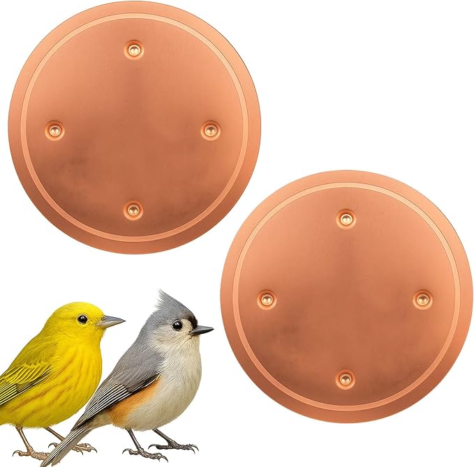 2 Pcs Pure Copper Disk for Bird Bath, 0.6mm Premium 99.99% Copper Insert with Raised Point, Fits Most Bird Baths for Indoor Outdoor Garden Backyard – 4” Diameter