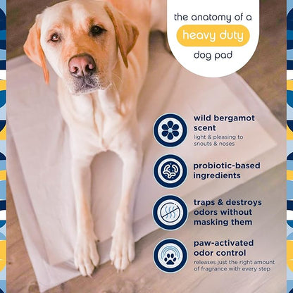 Pet Life Unlimited Heavy Duty Triple Extra Large Puppy Pads – 36" x 36", 52 Count (3XL) | Dog Training Pads with Odor Controlling Wetness-Activated Wild Bergamot Scent | USA Made