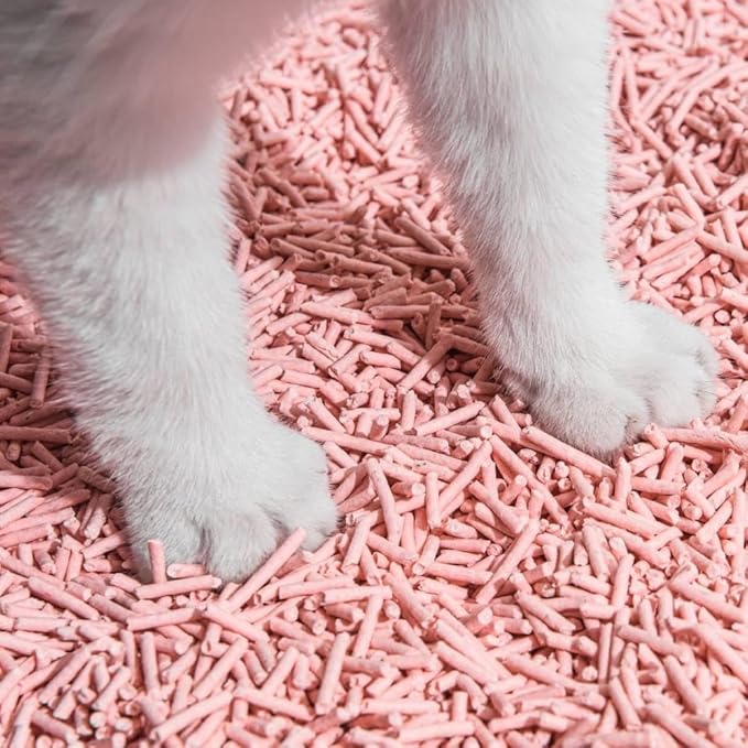 Tofu Cat Litter Natural Clumping Tofu Cat Litter, Fast Clumping and Easily Scoop-able 5.5lb/88oz 5 Scents - Peach, 1 Pack