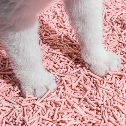 Tofu Cat Litter Natural Clumping Tofu Cat Litter, Fast Clumping and Easily Scoop-able 5.5lb/88oz 5 Scents - Peach, 2 Pack