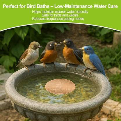 Copper Bird Bath Purification Disk,0.6mm Reinforced 99.9% Pure Copper Cleaning Disk Keeps Water Fresh for Bird Baths, Fountains, Ponds (1 Pack)