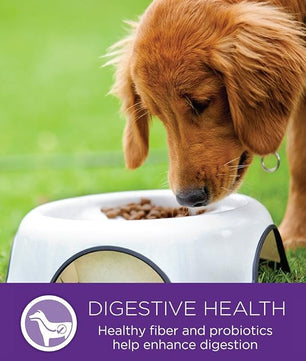 Wellness Complete Health Small Breed Dry Dog Food with Grains, Natural Ingredients, Made in USA with Real Turkey, For Dogs Up to 25 lbs, (Adult, Turkey & Oatmeal, 4-Pound Bag)